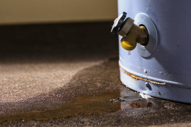 Best Flood restoration services  in Wildwood, TN