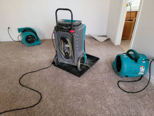 Best Emergency water damage restoration  in Wildwood, TN