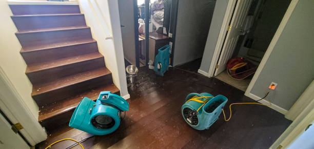 Best Water damage mitigation services  in Wildwood, TN