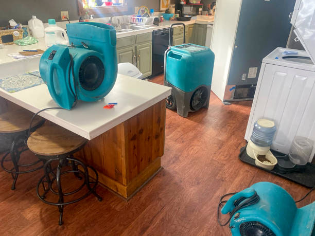 Best Carpet water damage restoration  in Wildwood, TN