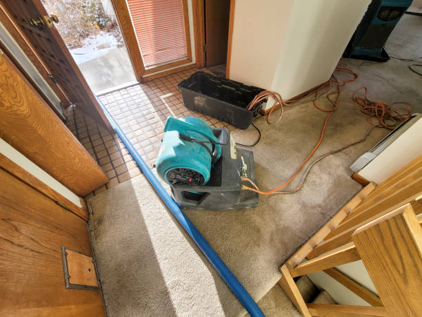 Best Flood damage cleanup  in Wildwood, TN