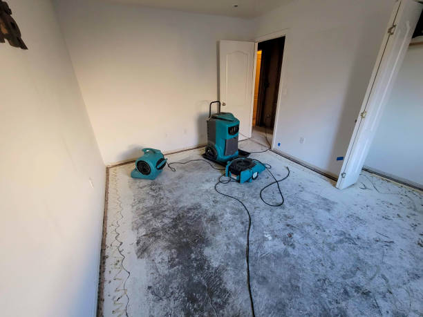 Best Local water damage restoration  in Wildwood, TN