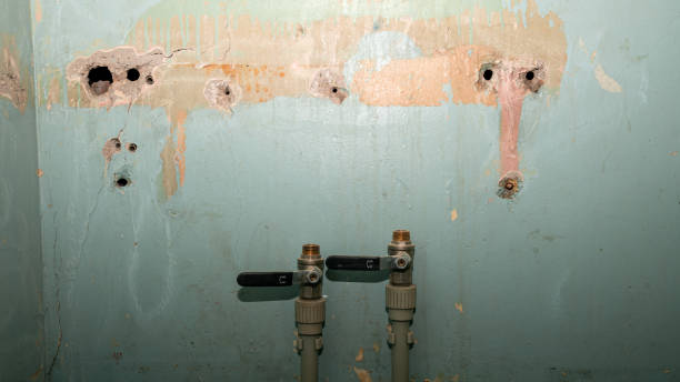 Best Commercial water damage restoration  in Wildwood, TN