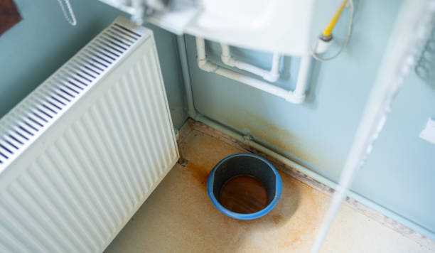 Best Ceiling water damage repair  in Wildwood, TN