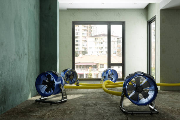 Best Water damage restoration near me  in Wildwood, TN