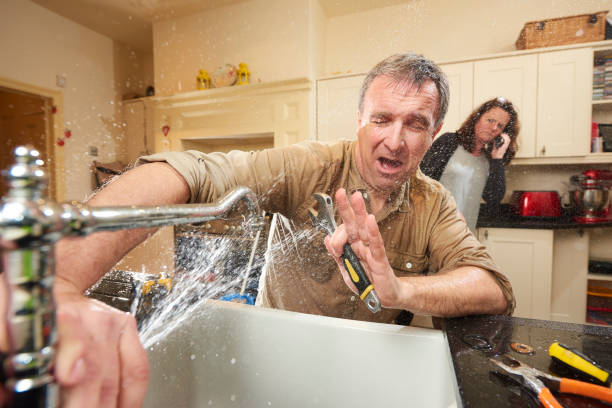 Best Water damage restoration near me  in Wildwood, TN